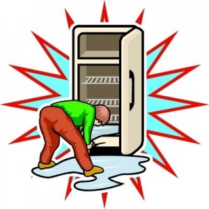 Is Food In The Refrigerator And Freezer Safe To Eat After A Power ...