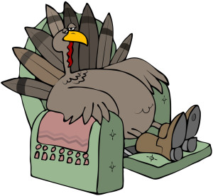 turkey in a chair