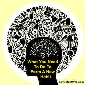 habit-and-brain