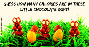 chocolate bunnies and eggs